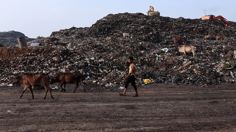 <div class="paragraphs"><p>Representative image of garbage.</p></div>