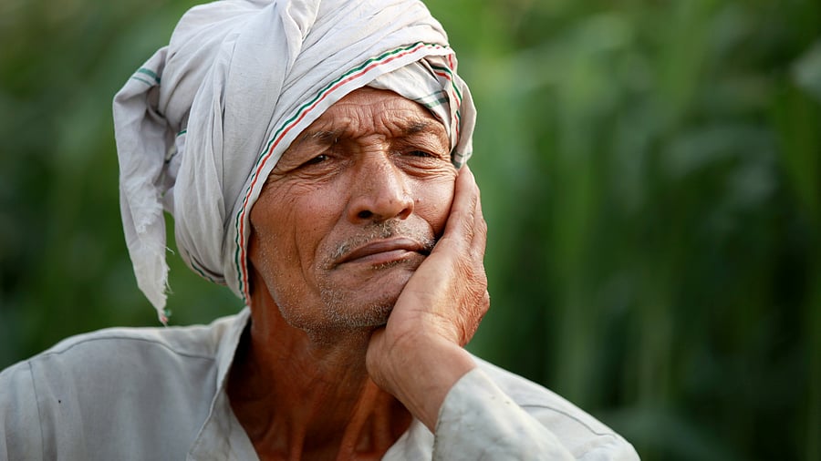 <div class="paragraphs"><p>Representative image showing a farmer.</p></div>