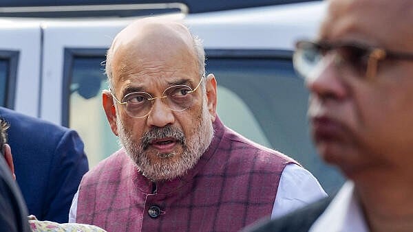 <div class="paragraphs"><p>Amit Shah during Parliament winter session.</p></div>