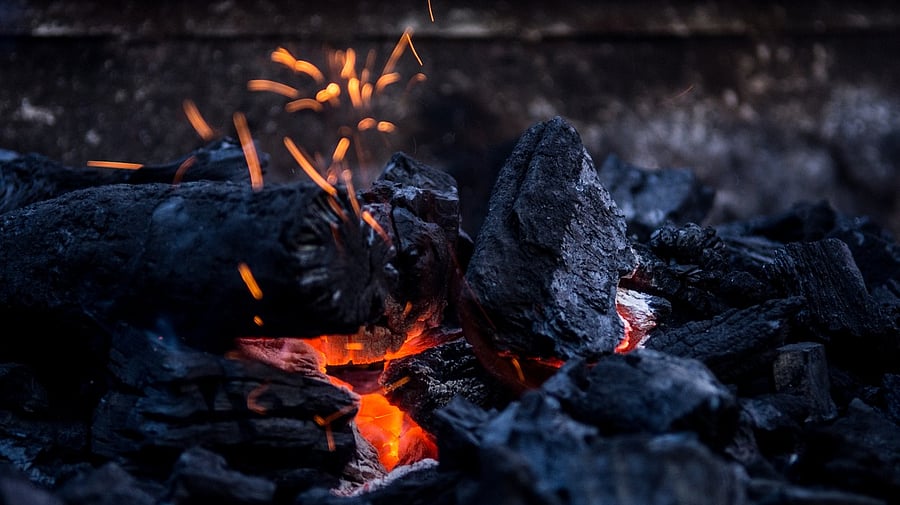 <div class="paragraphs"><p>Representative image showing cooking coal.</p></div>