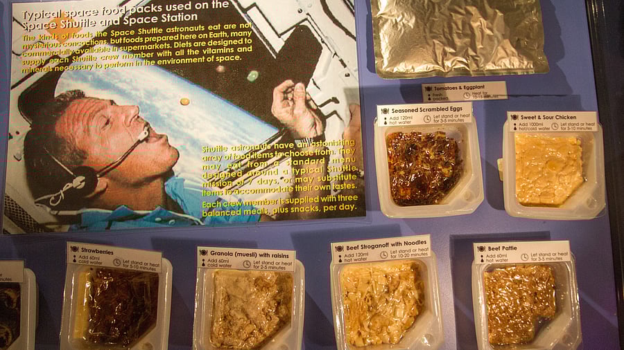 <div class="paragraphs"><p>Space food.</p></div>