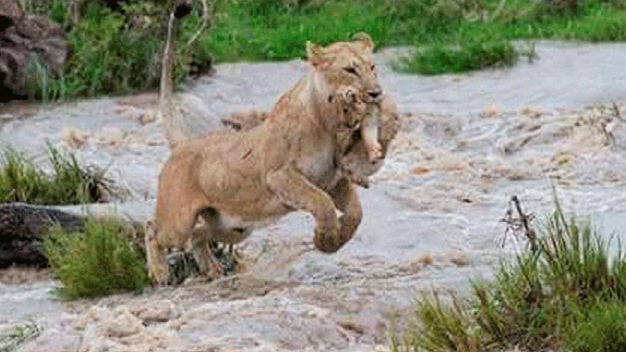 <div class="paragraphs"><p>Representative image. </p></div>