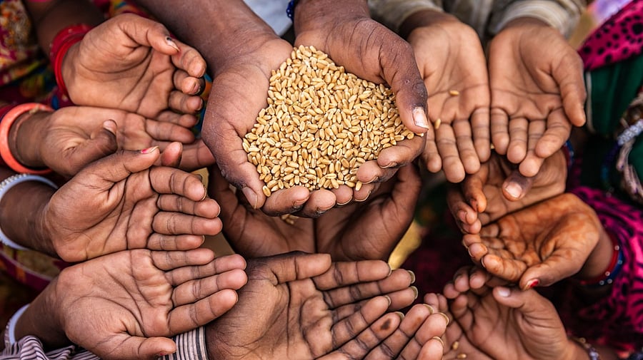 <div class="paragraphs"><p>Representative image showing hands and foodgrains.</p></div>