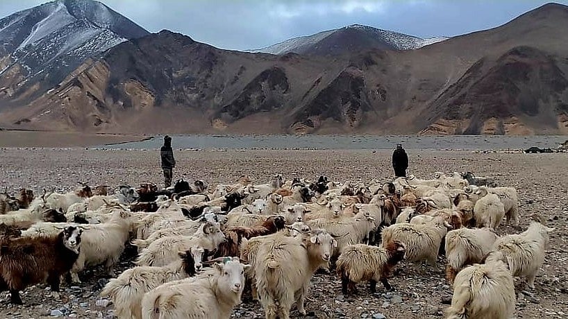 <div class="paragraphs"><p>A group of local herders were intercepted at Patrolling Point 35, 36 and 37 in Kakjung village of Nyoma along the border with China by at least a dozen PLA soldiers, reports said.</p></div>