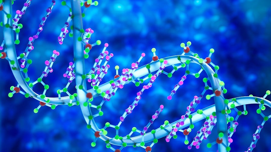 <div class="paragraphs"><p>Representative image of DNA</p></div>