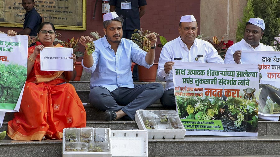 <div class="paragraphs"><p>Rohit Pawar had taken out a foot march from Pune to Nagpur late last year.</p></div>