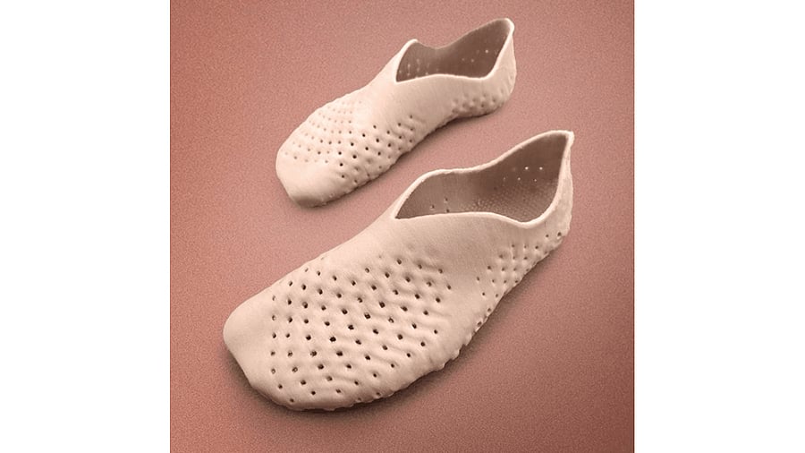 <div class="paragraphs"><p>Compostable shoes.</p></div>
