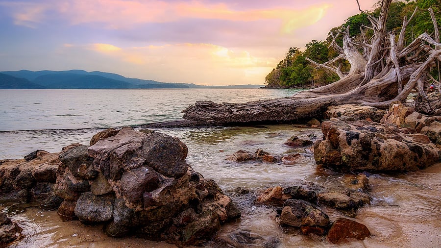 <div class="paragraphs"><p>Andaman and Nicobar Islands.&nbsp;</p></div>