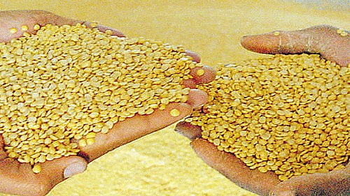 <div class="paragraphs"><p>Representative image of dal.&nbsp;</p></div>