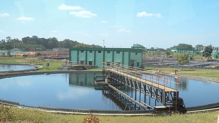 <div class="paragraphs"><p>This water is neither fit for irrigation nor drinking.</p></div>