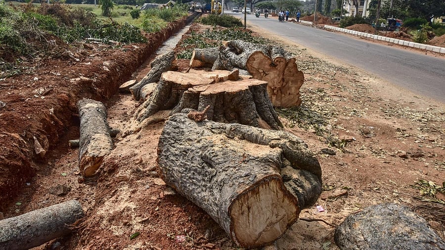 <div class="paragraphs"><p>The 'Green Index' toolkit is aimed at encouraging departments to adopt environment-friendly measures while taking up projects. Representative photo.</p></div>