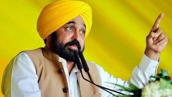 <div class="paragraphs"><p>Punjab CM Bhagwant Mann.</p></div>