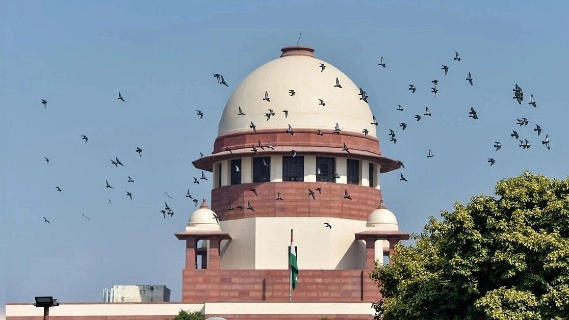 SC takes suo motu cognisance of Calcutta High Court single judge ...