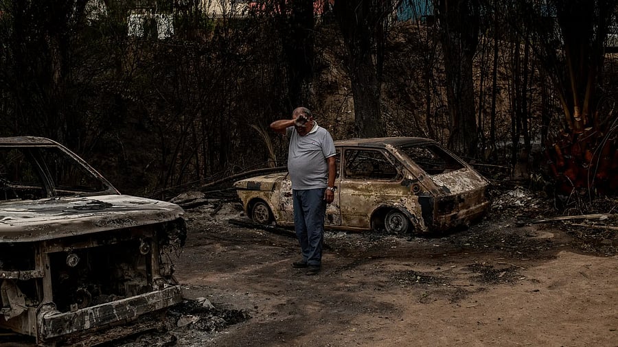 <div class="paragraphs"><p>A resident walking through his neighborhood in El Olivar, in the Valparaíso region.</p></div>