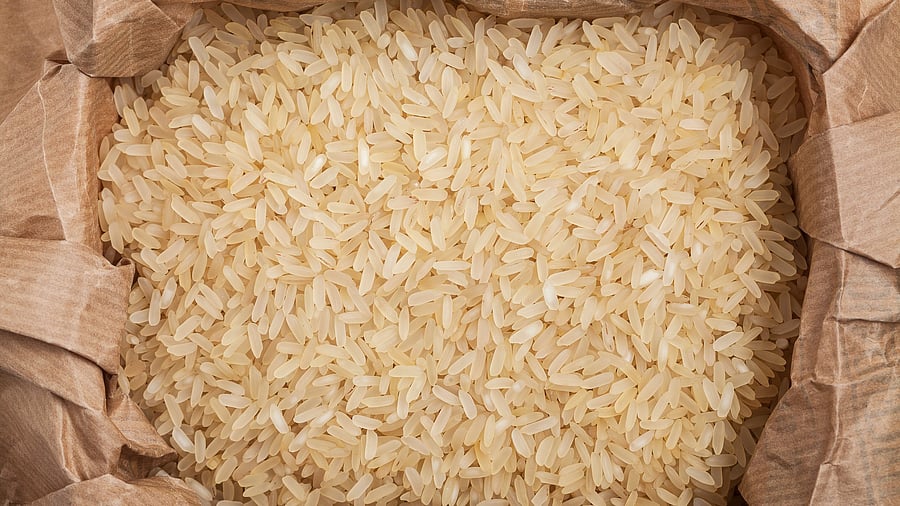 <div class="paragraphs"><p>Representative image showing parboiled rice. </p></div>