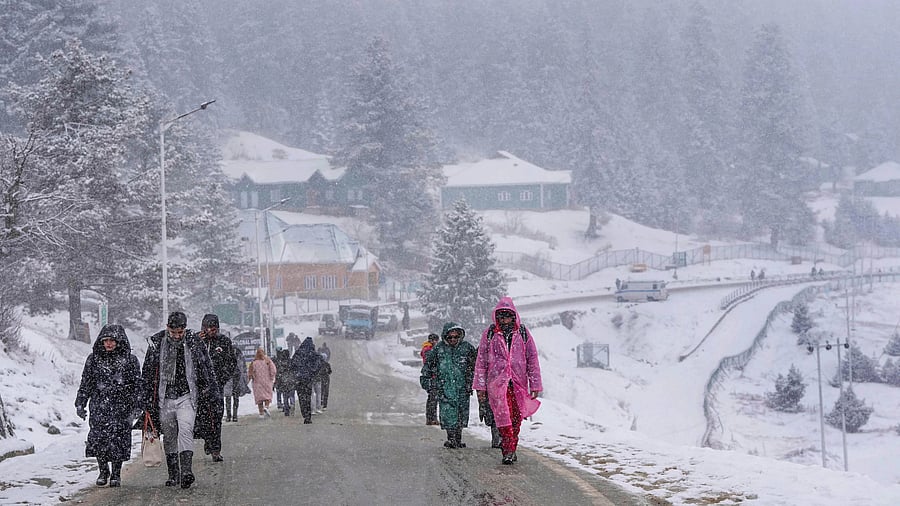 <div class="paragraphs"><p>Tourists amid light snowfall in Gulmarg.</p></div>