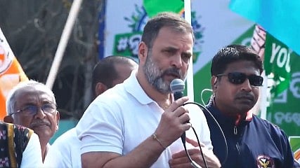 <div class="paragraphs"><p>Congress leader Rahul Gandhi.</p></div>