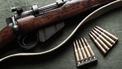 <div class="paragraphs"><p>Representative image of riffle.</p></div>