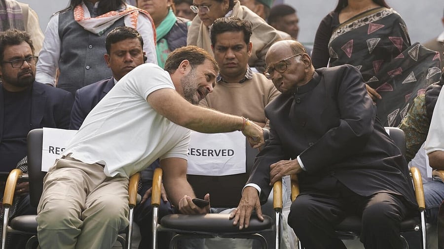 <div class="paragraphs"><p>Congress leader Rahul Gandhi and NCP chief Sharad Pawar. </p></div>