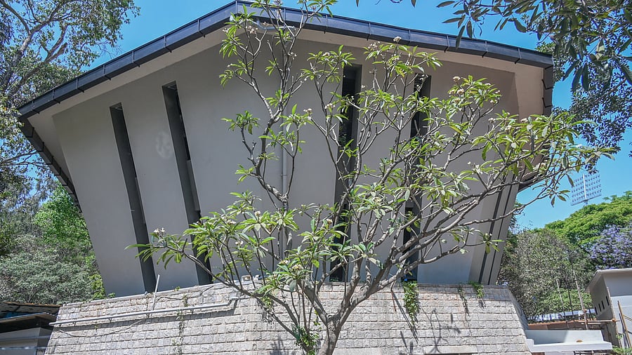 <div class="paragraphs"><p>The revamped government aquarium at Cubbon Park. </p></div>