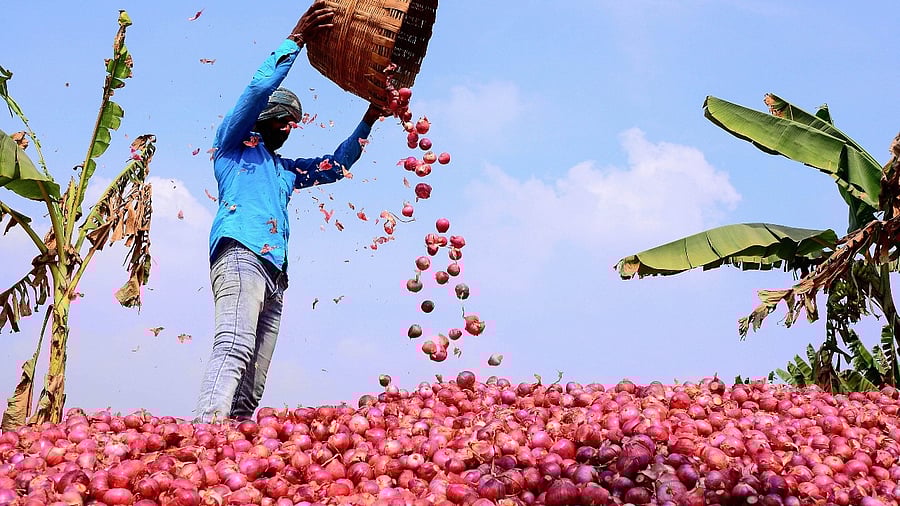 <div class="paragraphs"><p>Several countries have made a request for the supply of onion from India.</p></div>