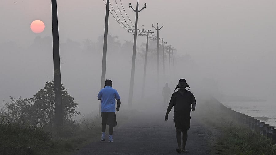 <div class="paragraphs"><p>Representative image</p></div>