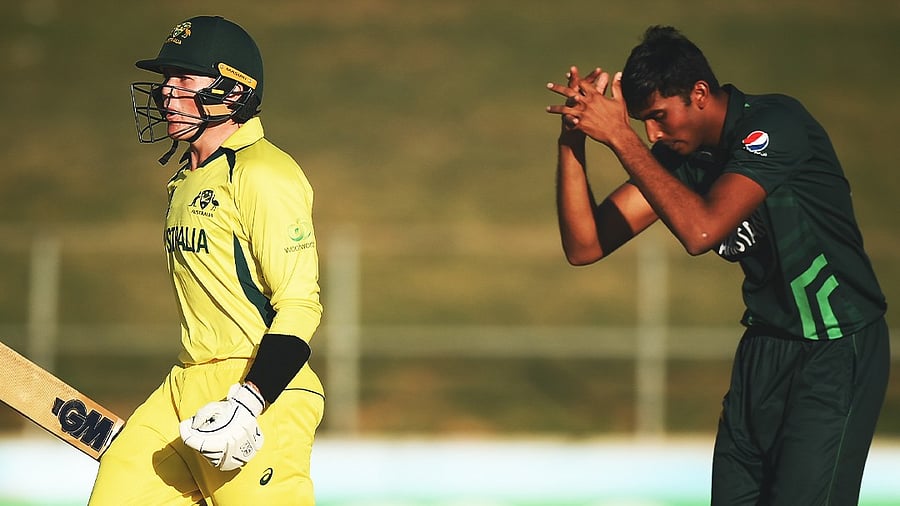 <div class="paragraphs"><p>Australia edged out Pakistan in a thriller.</p></div>