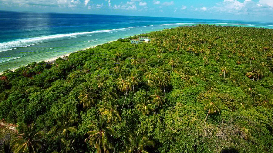 <div class="paragraphs"><p>Representative image of an island in Lakshwadeep.</p></div>