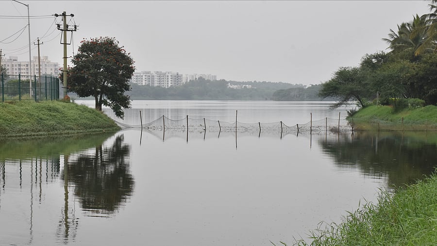 <div class="paragraphs"><p>Jakkur lake.</p></div>