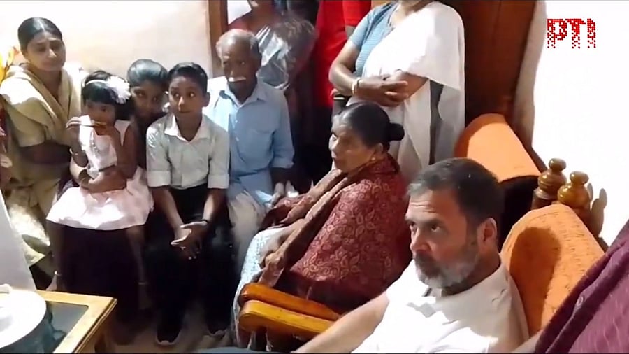 <div class="paragraphs"><p>Rahul Gandhi in Wayanad.</p></div>