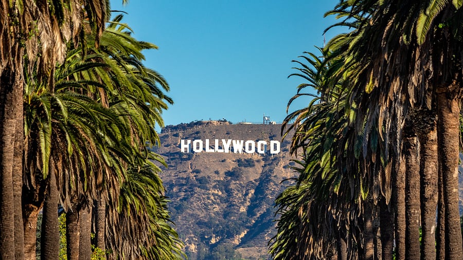 <div class="paragraphs"><p>Hollywood Sign between Palm trees from central Los Angeles. Representative image.</p></div>