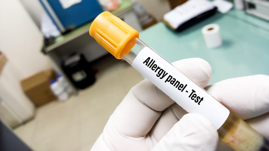 <div class="paragraphs"><p>Tangsuan repeatedly clarified that she suffered from allergy from certain food items after which the staff assured that they could make allergen-free food.</p></div>