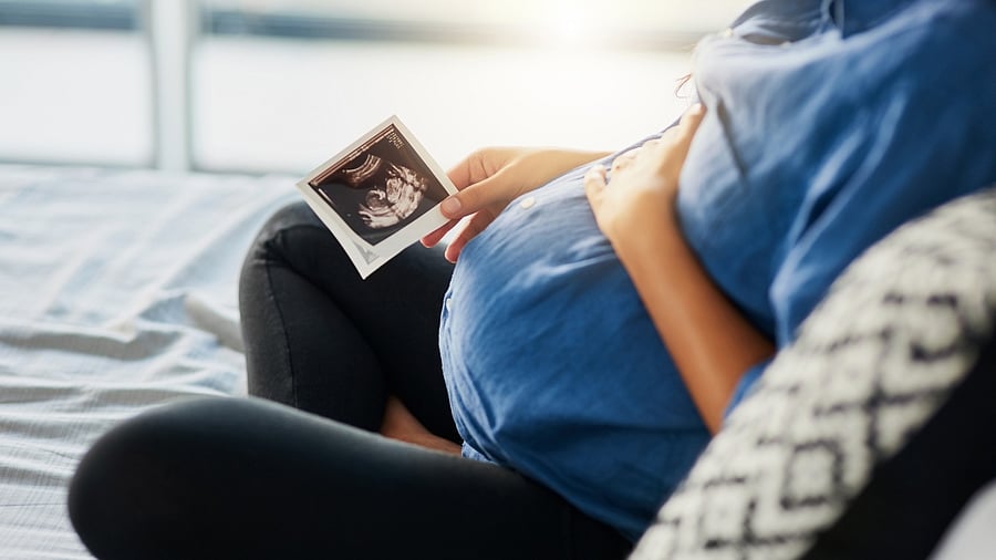 <div class="paragraphs"><p>Representative image showing maternal care. </p></div>