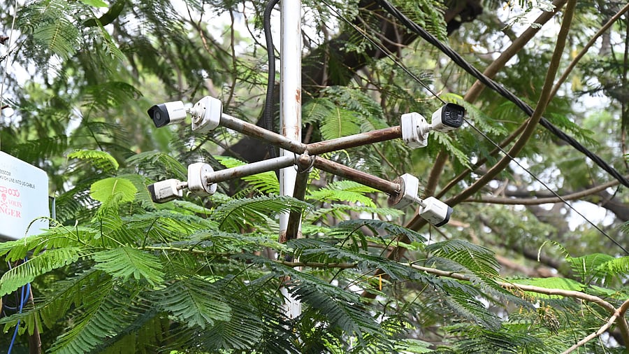 <div class="paragraphs"><p>CCTV cameras on Airport Road near Ganganagar are obstructed by tree branches. </p></div>