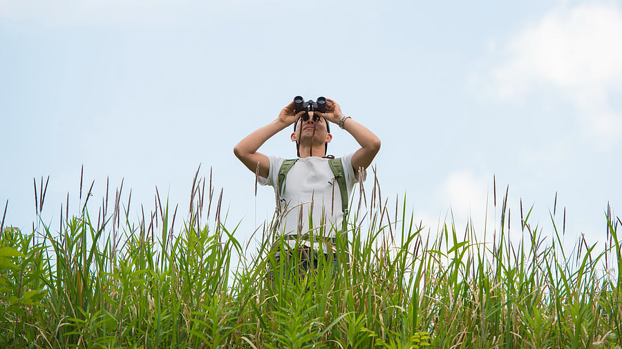 <div class="paragraphs"><p>Representative image indicating birdwatching. </p></div>