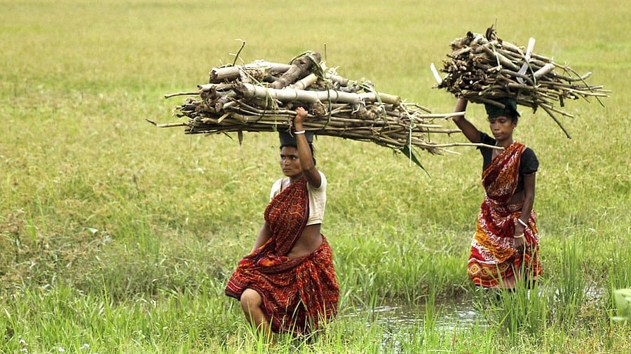 <div class="paragraphs"><p>Representative image showing farmers. </p></div>