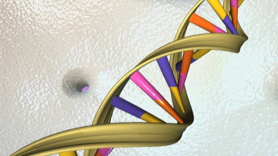 <div class="paragraphs"><p>A graphical representation of human DNA.</p></div>