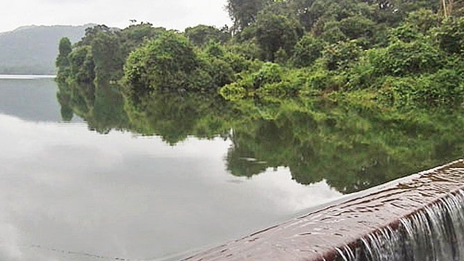<div class="paragraphs"><p>Sanjay Gandhi National Park.</p></div>