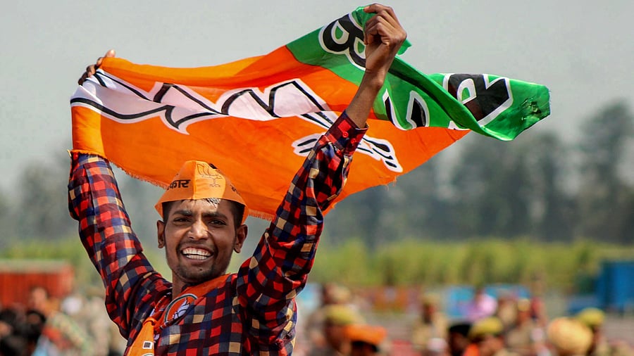 <div class="paragraphs"><p>A BJP supporter waves the party flag</p></div>