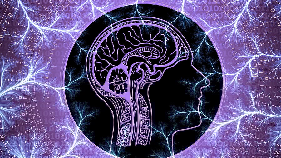 <div class="paragraphs"><p>Representative image.</p></div>