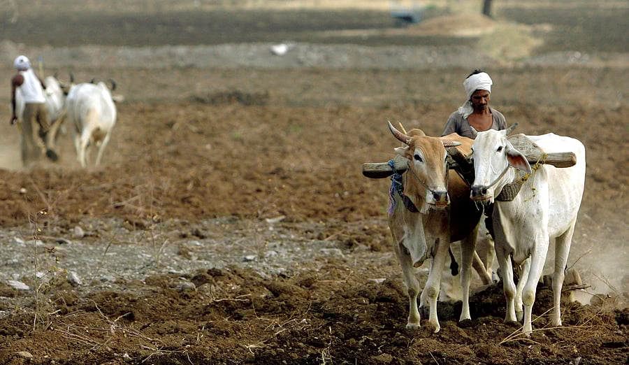 <div class="paragraphs"><p>Image for representation only</p></div>