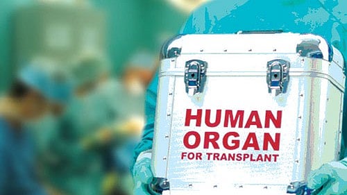 <div class="paragraphs"><p>Representative image of organ transplant.&nbsp;</p></div>