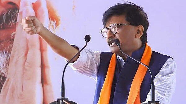 <div class="paragraphs"><p>Shiv Sena (UBT) leader Sanjay Raut.</p></div>