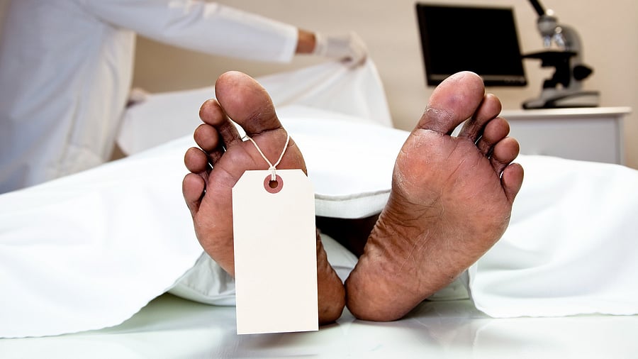 <div class="paragraphs"><p>Representative image of a corpse.</p></div>