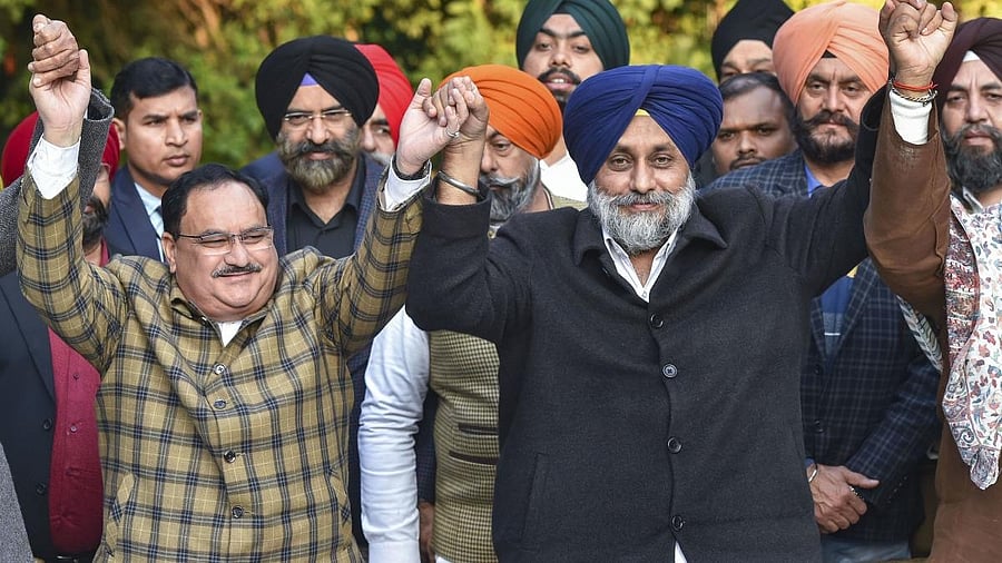 <div class="paragraphs"><p> BJP National President Jagat Prakash Nadda (L) and Shiromani Akali Dal (SAD) chief Sukhbir Singh Badal.</p></div>