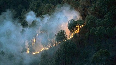 <div class="paragraphs"><p>A representative image of a fire.</p></div>