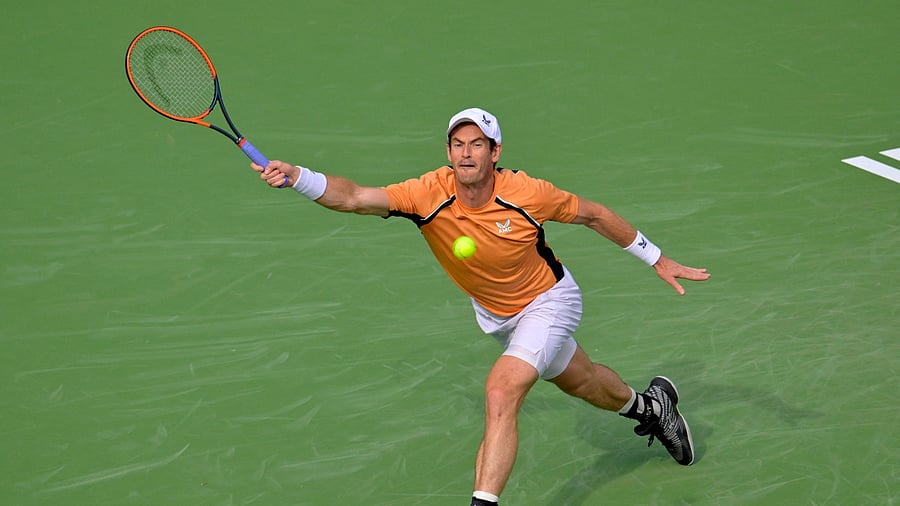 <div class="paragraphs"><p>  Andy Murray   at the Indian Wells Tennis Garden. </p></div>