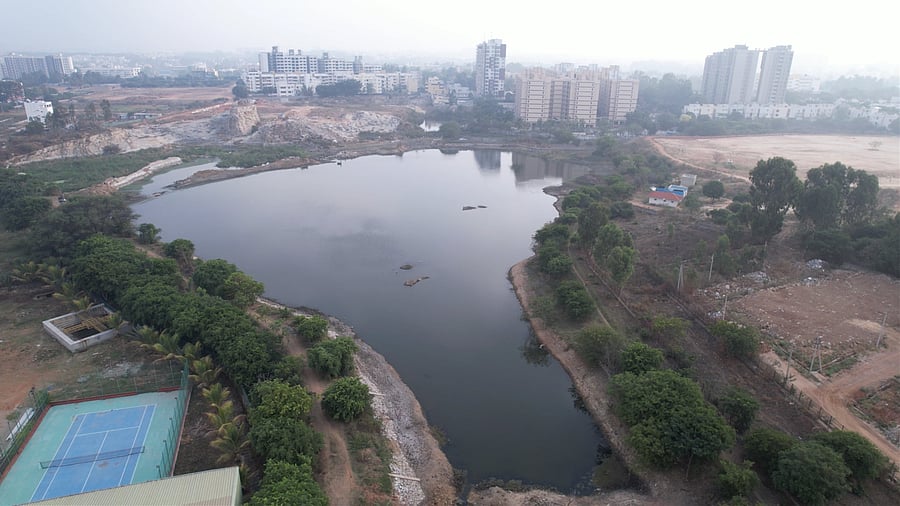 <div class="paragraphs"><p>Waterscapes, be they rivers, oceans, or lakes, foster psychological and mental wellbeing.</p></div>