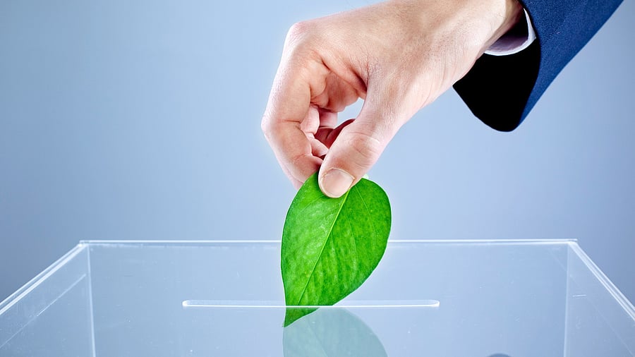 <div class="paragraphs"><p>Representational image for eco-friendly poll campaigning.</p></div>