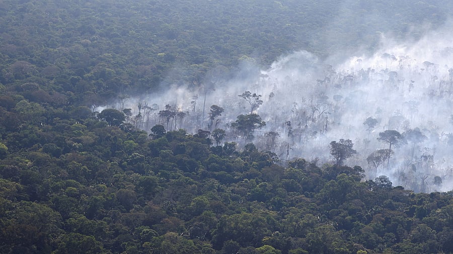 <div class="paragraphs"><p>File photo showing smoke from a fire rising into the air as trees burn amongst vegetation in Brazil's Amazon rainforest near Humaita.</p></div>